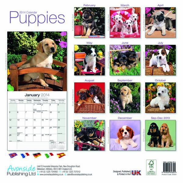 Puppies Calendar 2015 3042415 Mixed DogsPuppies Dog Breeds