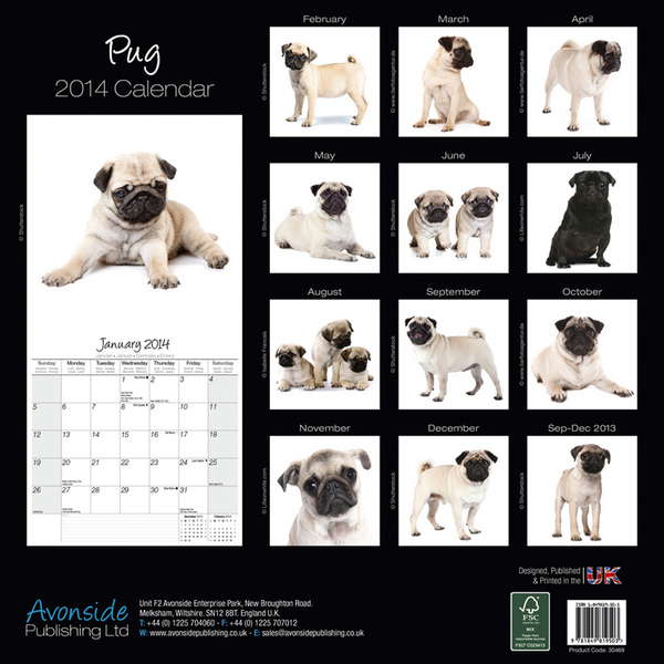 pug calendars pug calendar 2015 30469 15 pug breeds pug calendars pug calendar 2015 30469 15 pug breeds