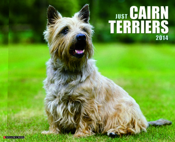 Just Cairn Terriers 2010 Calendar downloads - Vidhatri